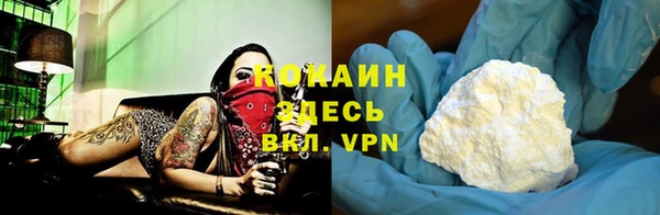 трава Арсеньев