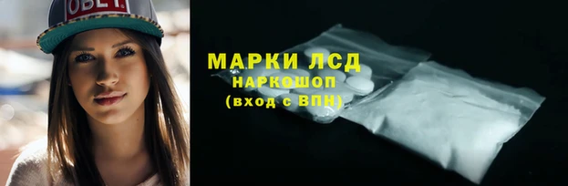 стафф Армянск