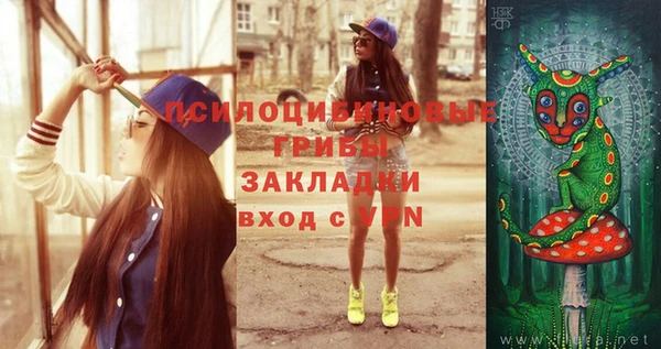 стафф Армянск