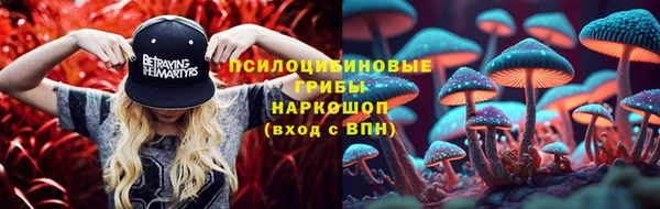трава Арсеньев