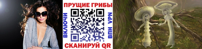это официальный сайт  Радужный  Галлюциногенные грибы Psilocybe 